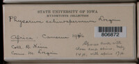 Image Associated With the Occurence